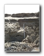 Click to enlarge this image